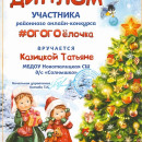 Казицкая  Татьяна Александровна